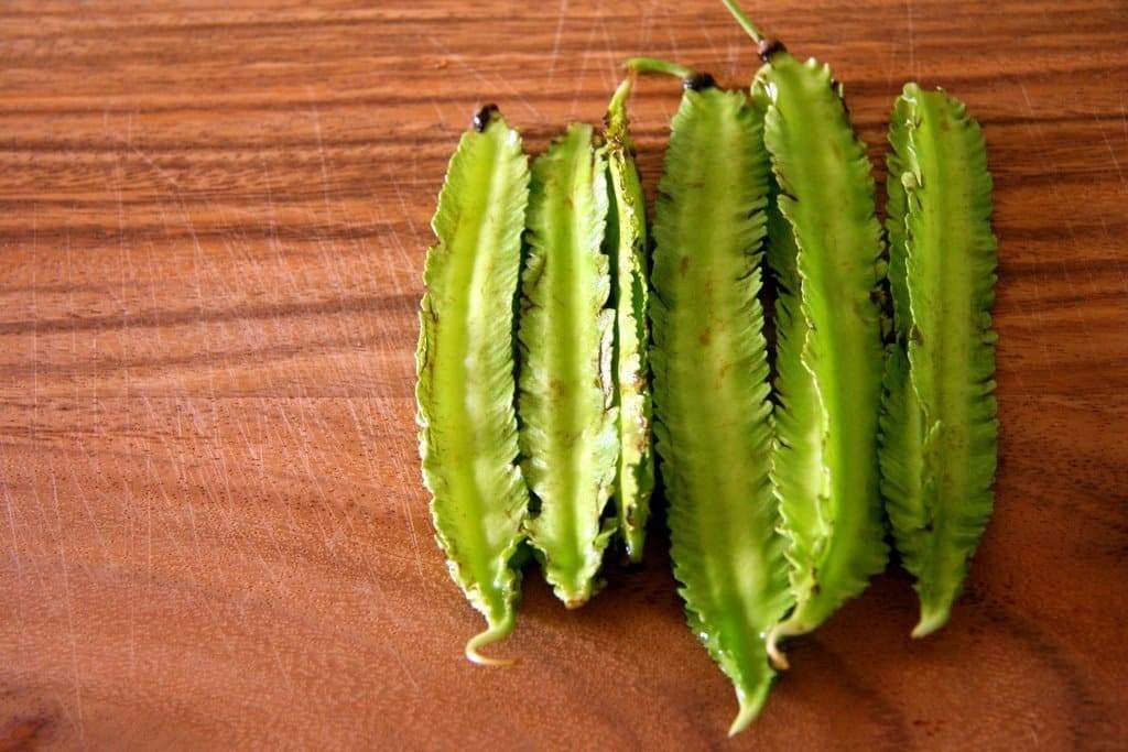Winged bean, asparagus pea, Asian vegetable - Caribbeangardenseed