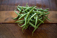 Blue Lake 274 Bush Bean Seeds. A classic bush bean, produces a huge crop of flavorful beans - Caribbeangardenseed