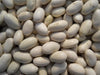 Roma II Bush Bean Seeds. Wide flat Romano type. Smooth texture - Caribbeangardenseed