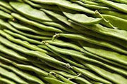 Roma II Bush Bean Seeds. Wide flat Romano type. Smooth texture - Caribbeangardenseed