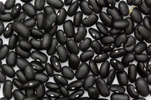 Black Turtle Beans, Half Runner - Caribbeangardenseed