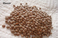 Brown Lentils Plant Seeds (Lens esculenta) Also Known as Masoor.Pure, organic, heirloom seeds,Untreated, Non-GMO, Pesticide Free - Caribbeangardenseed