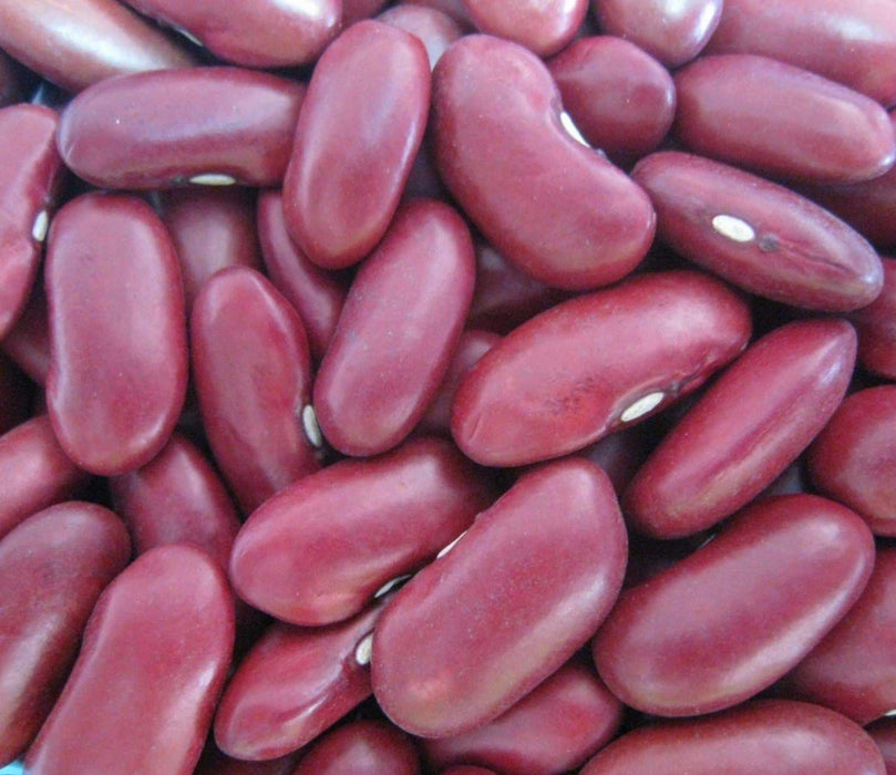 Red Kidney Beans (Dry shelling Bush) CARIBBEAN , Jamaican Red Peas - Caribbeangardenseed