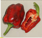 10 Hei-Fun Pepper Seeds,Sweet Spicality Pepper ,Capsicum Annuum, Asian Vegetable - Caribbeangardenseed