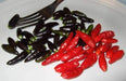 Black Chile Peppers, Capsicum annuum,Chili Piquin, Pring-Kee-New, or Grove pepper - Seeds-Organically Grown - Caribbeangardenseed
