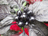 Black Pearl ,PEPPER SEEDS Capsicum annuum-Ornamental - Caribbeangardenseed
