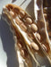 Bolita Bean Seeds , Dry/Shelling/ Bush/half Runner, Heirloom - Caribbeangardenseed