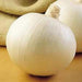 Bermuda white Onion Plants- ,Also known as Crystal Wax,Delicious for fresh slices on sandwiches - Caribbeangardenseed