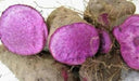 Filipino Purple yam, Tuber,Indian Ratalu,CARIBBEAN PRODUCT - Caribbeangardenseed