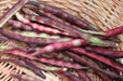 Mississippi Purple Southern PEA (Brown crowder, ) A Peas,Great Flavor, Shell pea - Caribbeangardenseed