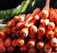 Carrot Seeds - Danvers 126 - Organic, ( Packet 1000 Seeds) Biannual ! - Caribbeangardenseed
