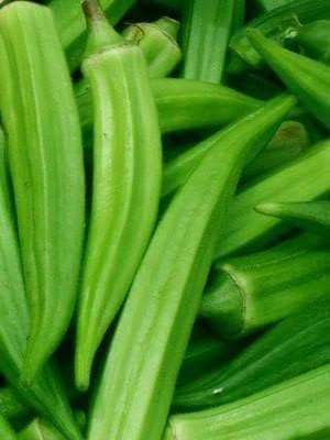 Clemson Spineless Okra Seed, Heirloom Vegetable - Caribbeangardenseed