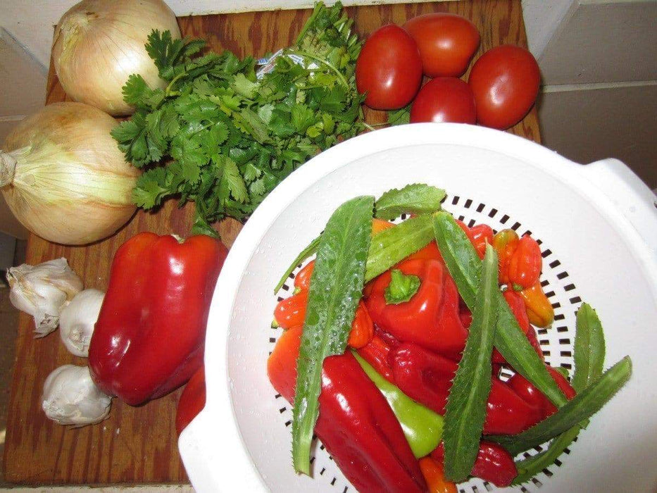 Cubanelles Peppers seeds Italian Frying Pepper ,Great,Pickling,Capsicum annuum. - Caribbeangardenseed