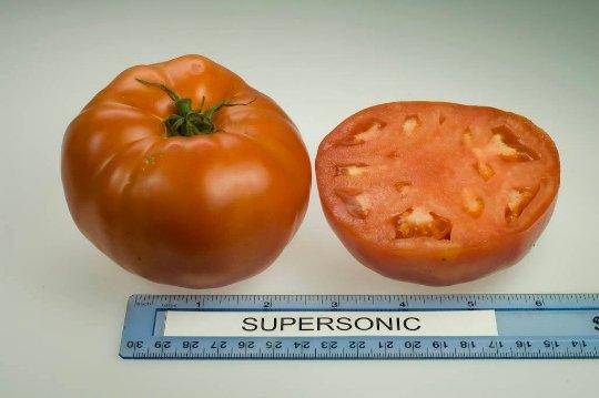Supersonic (F1 Hybrid) Tomato Seeds, GARDEN VEGETABLE - Caribbeangardenseed
