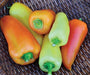 Feher Ozon Paprika ,Pepper Seeds, Capsicum annuum - Caribbeangardenseed