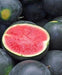 Black Diamond Watermelon Seeds, Fruit size: 30 to 50 pounds - Caribbeangardenseed