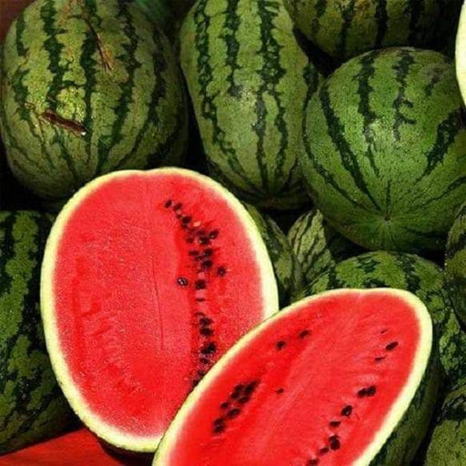 Jubilee Watermelon Seeds, 25-40 lbs FRUIT - Caribbeangardenseed