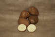Gold Rush Potato Seed/ Tubers,The best-eating early russet.. - Caribbeangardenseed