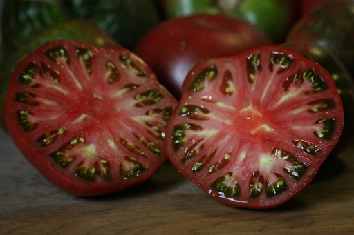 Heirloom Tomato Seeds - CHEROKEE PURPLE ' - Giant 16-ounce fruits - Caribbeangardenseed