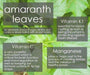 Jamaican Callaloo,Edible Amaranth Seeds, Tender Leaf, Asian vegetable, - Caribbeangardenseed
