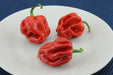 JAMAICAN RED HOT habanero, Chili Pepper,(Capsicum chinense,) - Caribbeangardenseed