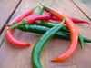 kung pao CHILI pepper SEEDS, (Capsicum annuum) Asian Vegetable - Caribbeangardenseed