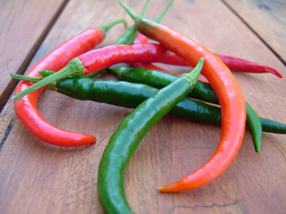 kung pao CHILI pepper SEEDS, (Capsicum annuum) Asian Vegetable - Caribbeangardenseed