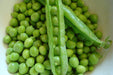 Lincoln Garden Pea Seeds - (SHELLING Peas) will tolerate warmer climates. - Caribbeangardenseed