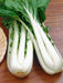 Long Bok Choi Seeds - Taisai - White Stem, Asian Vegetable - Caribbeangardenseed