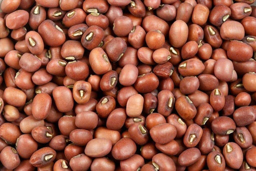MUNG BEAN Seeds ~ , Red Mung Bean, Food or Growing, Asian Vegetable - Caribbeangardenseed
