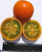 Naranjilla - Lulo - Seeds- Rare Tropical Fruit - Solanum Quitoense - Caribbeangardenseed