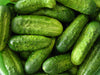 National Pickling cucumber Seeds, Annual Vegeable - Caribbeangardenseed