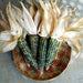 Oaxacan Green Dent Corn seeds - Native and Heirloom Corn - Caribbeangardenseed