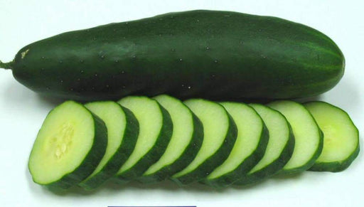 Organic Cucumber Seeds 'Poinsett 76,' a prickly, vining, disease-resistant slicer - Caribbeangardenseed