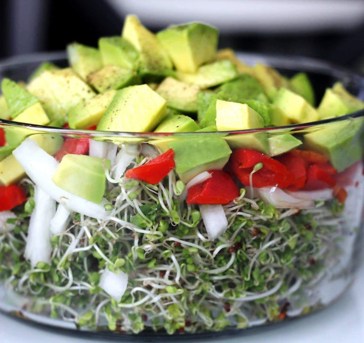 Organic Sprouting Salad Mix, - Caribbeangardenseed