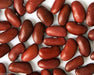 LARGE DARK RED, Kidney BUSH Bean,500 Seeds, JAMAICAN - Caribbeangardenseed