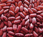 LARGE DARK RED, Kidney BUSH Bean,500 Seeds, JAMAICAN - Caribbeangardenseed