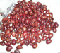 Red Cargamanto BEAN -50 Seed, ANNUAL Heirloom - Caribbeangardenseed