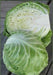 Copenhagen market cabbage Seeds.,Leafy Vegetable, - Caribbeangardenseed