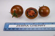Black Zebra Cherry Tomato(Solanum lycopersicum) 25 Seeds Open pollinated - Caribbeangardenseed