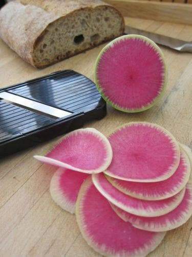Watermelon Radish ,Red Meat (OP) Asian Vegetable - Caribbeangardenseed