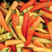 Hungarian Wax Hot' Pepper Seeds, Capsicum annuum - Caribbeangardenseed