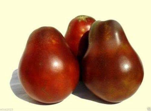 Japanese Black Trifele/truffle Tomato-HEIRLOOM SEEDS- Caribbeangardenseed