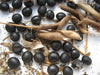 Korean Black Soybean Seeds,Edible soybean,asian vegetable - Caribbeangardenseed