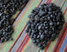 BLACK LENTIL SEEDS (Lens culinaris) Indian Heirloom - Caribbeangardenseed