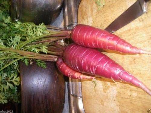 Red Carrot Seeds, Atomic Red ,ORGANIC, HEIRLOOM VEGETABLE - Caribbeangardenseed