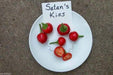 Satan's Kiss Pepper seeds - AKA Baccio Ciliegia Piccante - Heirloom from Italy - Caribbeangardenseed