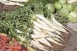 Iwai Daikon RADISH SEED, Asian Vegetable - Caribbeangardenseed