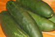 Straight Eight,Cucumber SEEDS, Heirloom Vegetable - Caribbeangardenseed