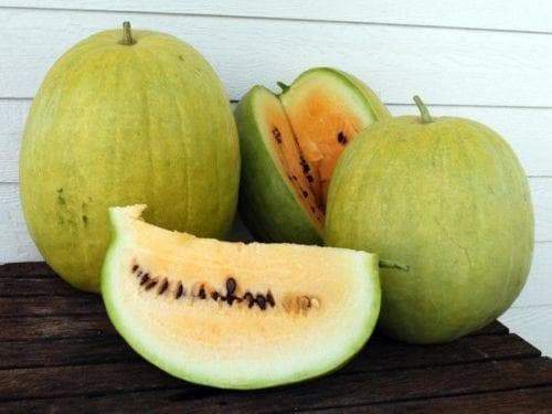 Missouri Heirloom Watermelon seeds -Yellow Flesh~Non-GMO - Caribbeangardenseed